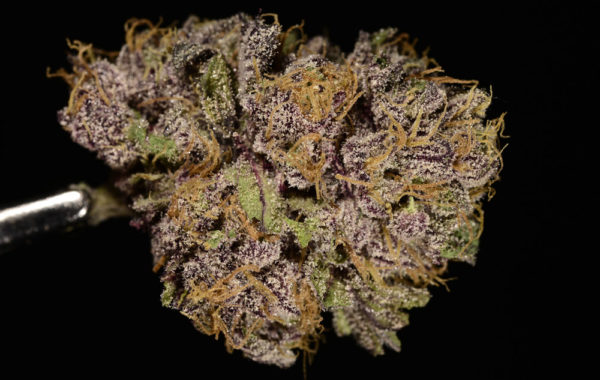 Grape Ape