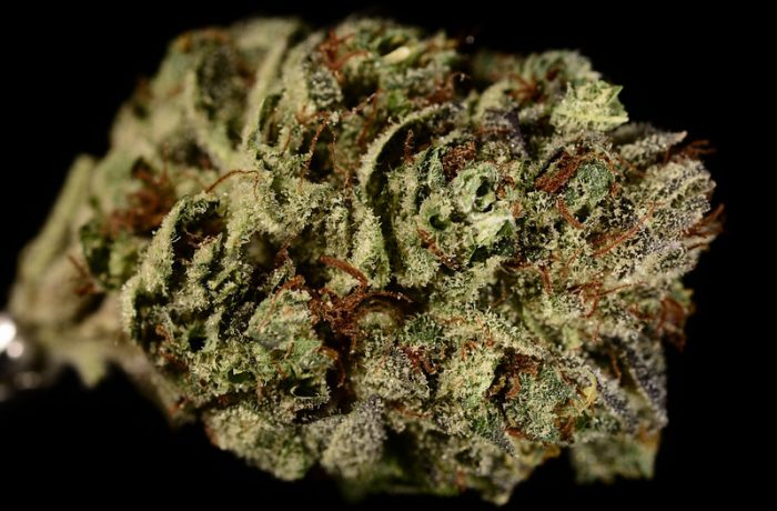 Triple Diesel